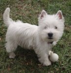 Join us on December 6th!