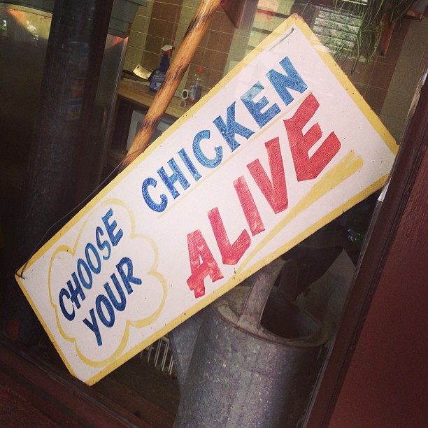 e15684d0e5a311e28b9422000a1f8af5_7