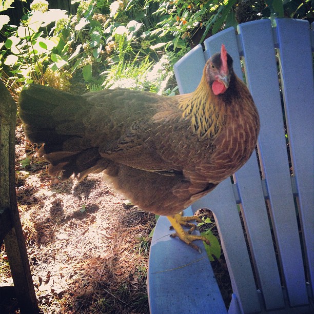 1f2c420023a111e3a6fd22000aeb11b7_7